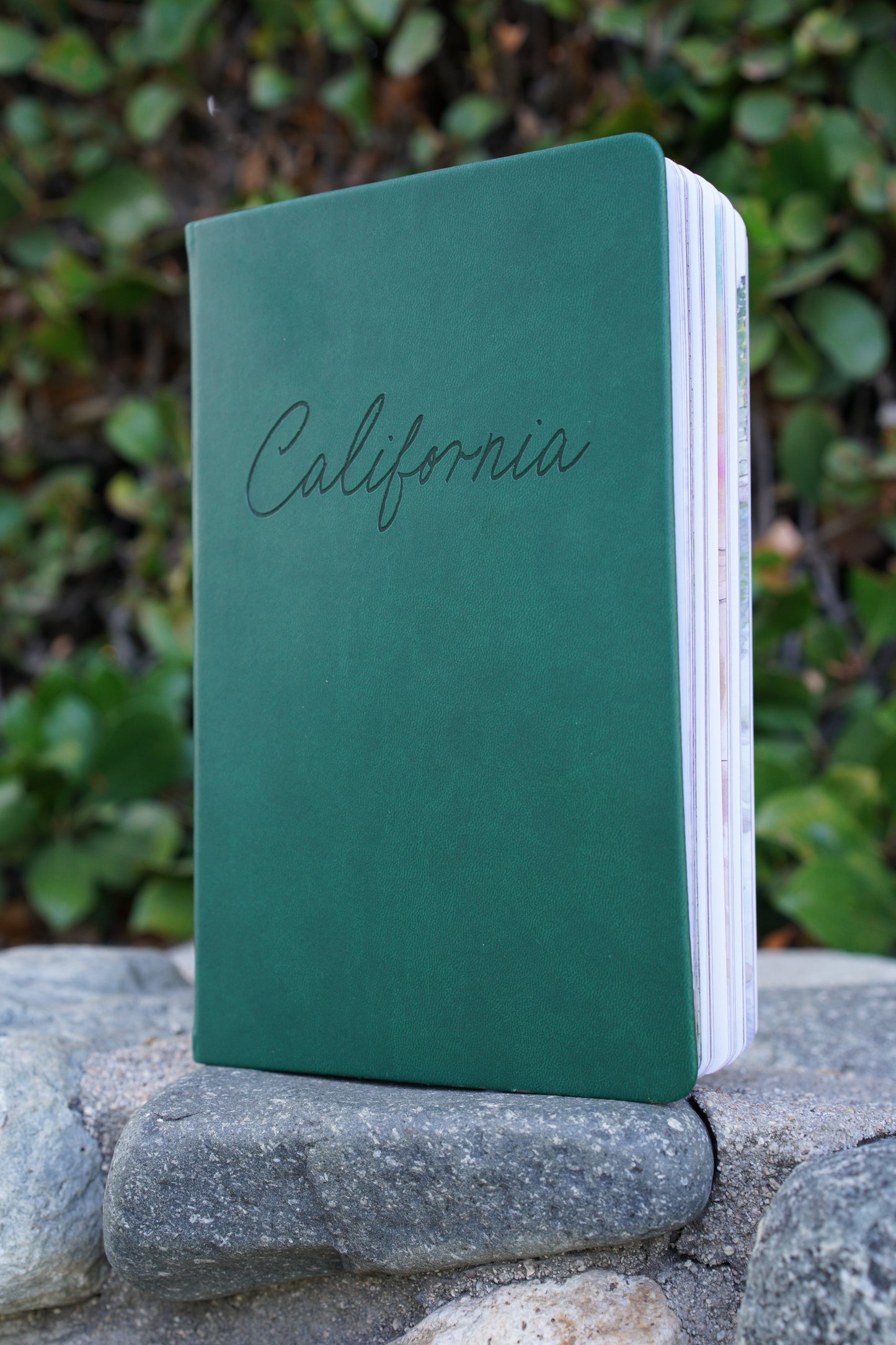 California Travel Journal