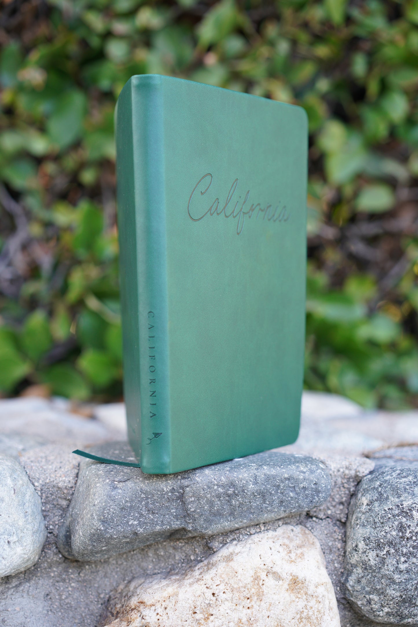 California Travel Journal