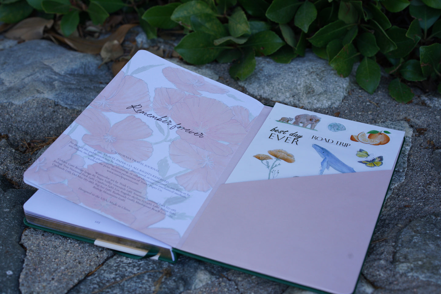 California Travel Journal