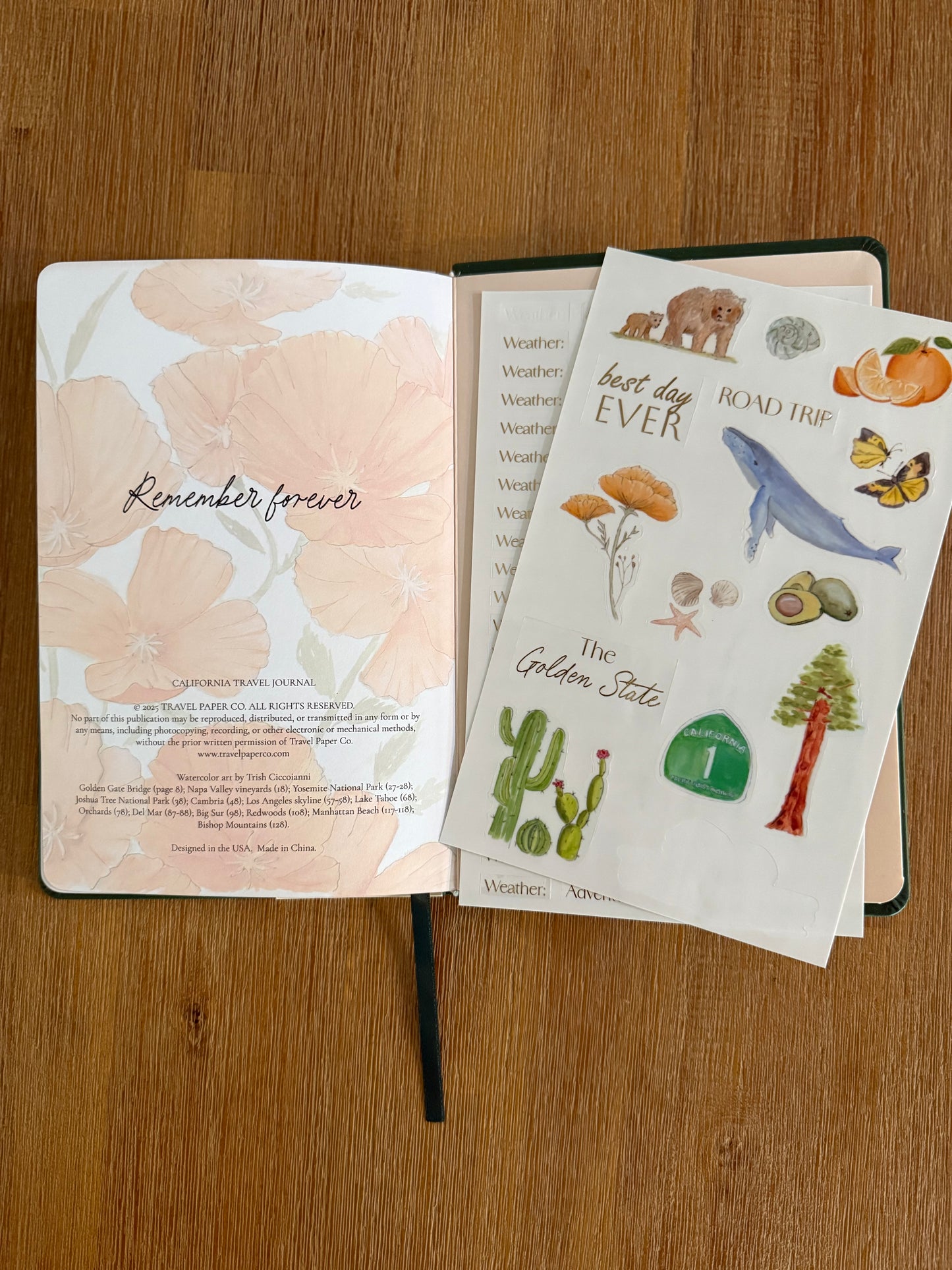 California Travel Journal