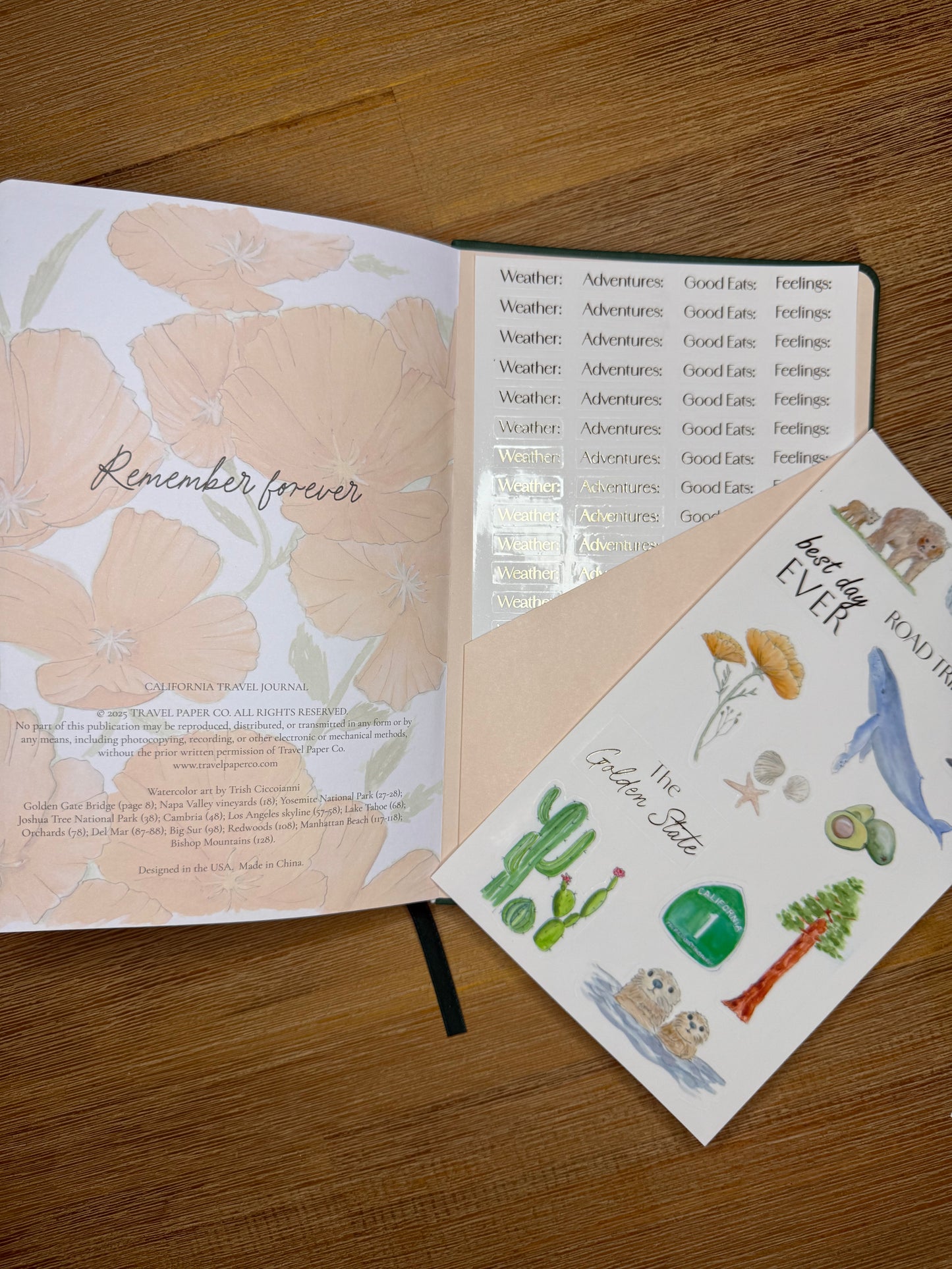 California Travel Journal
